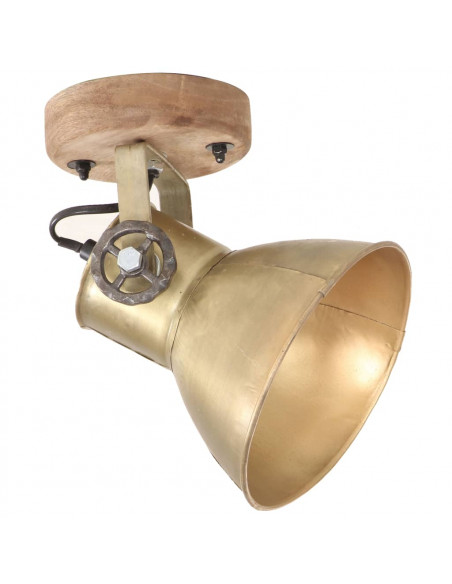 Lampade da Parete/Soffitto 2 pz Industriale Ottone 20x25 cm E27