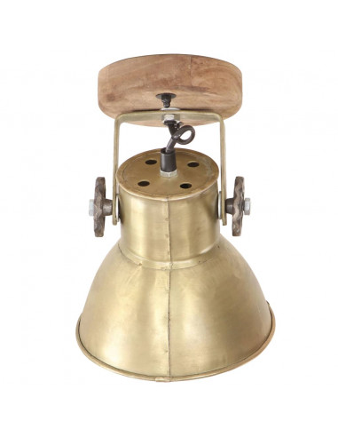 Lampade da Parete/Soffitto 2 pz Industriale Ottone 20x25 cm E27