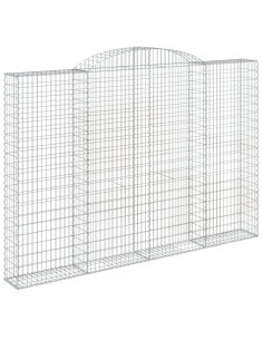 Cesti Gabbioni ad Arco 2 pz 300x30x200/220 cm Ferro Zincato 2