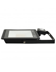 Faretto a LED con Sensore 100 W Bianco Caldo