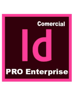 INDESI PRO ENT ML NEW GOV