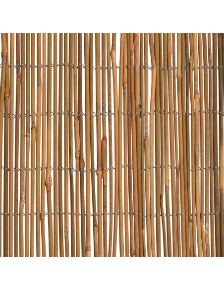 Recinzione in Bambù 500x100 cm
