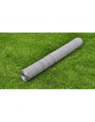 Recinzione in Rete per Pollaio Acciaio Zincato 25x1 m Argento