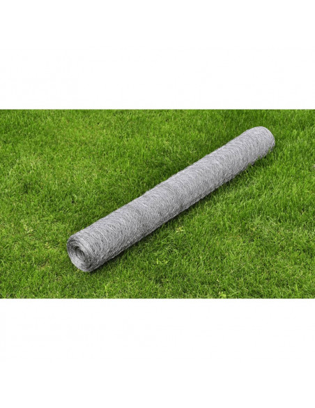 Recinzione in Rete per Pollaio Acciaio Zincato 25x1 m Argento