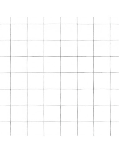 Recinzione in Rete per Pollaio Acciaio Zincato 10x1,5 m Argento