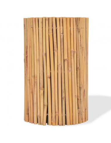 Recinzione in Bambù 500x50 cm