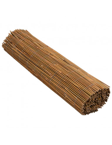 Recinzione in Bambù 500x100 cm