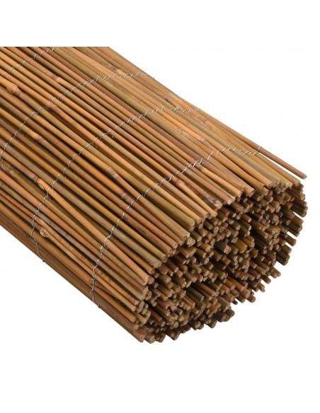 Recinzione in Bambù 500x100 cm