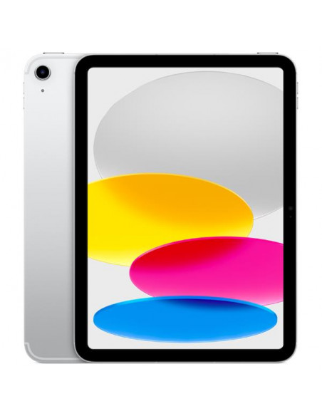 IPAD WF CL 256GB SLV