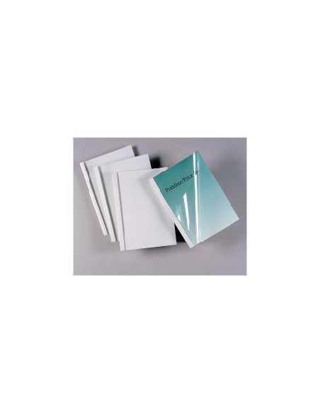 CF100 CARTELLINE TERM A4 4MM