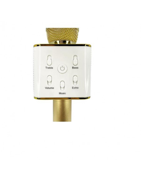 RAINBOW HIGH KAR MICROPHONE