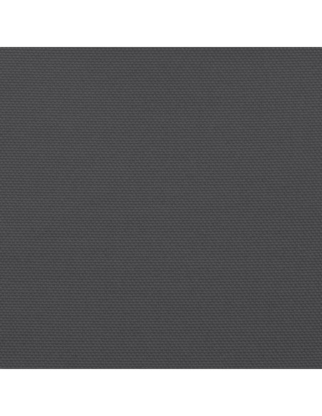 Paravento da Balcone Antracite 120x700cm 100% Poliestere Oxford