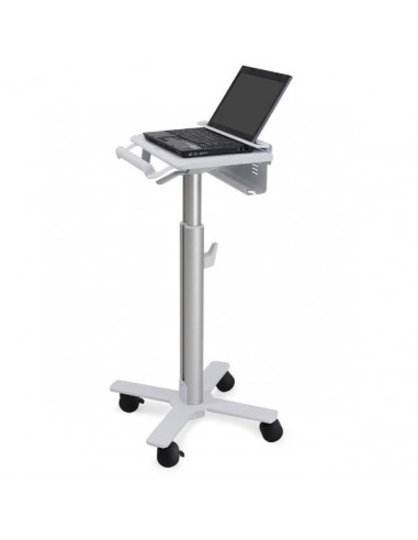 STYLEVIEW LAPTOP CART  SV10