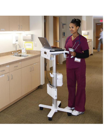 STYLEVIEW LAPTOP CART  SV10