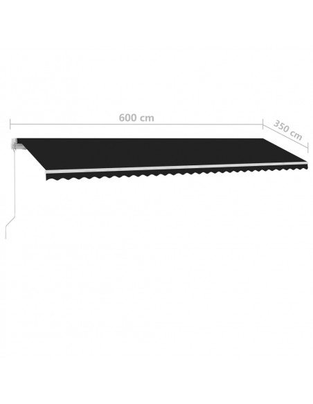 Tenda da Sole Autoportante Manuale 600x350 cm Antracite