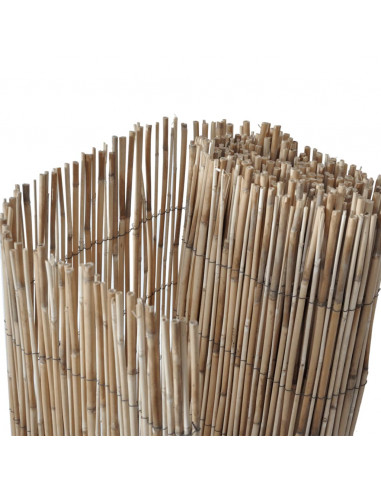 Recinzione da Giardino 500x80 cm Giunco