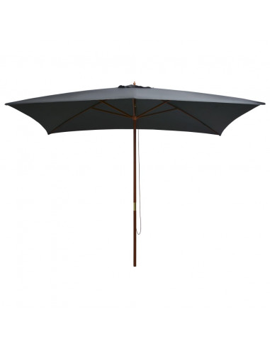 Ombrellone da Esterni con Palo in Legno 200x300 cm Antracite