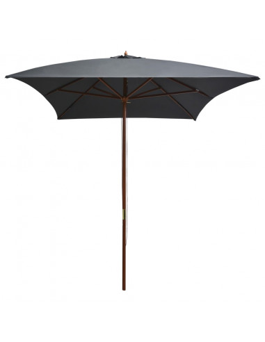 Ombrellone da Esterni con Palo in Legno 200x300 cm Antracite