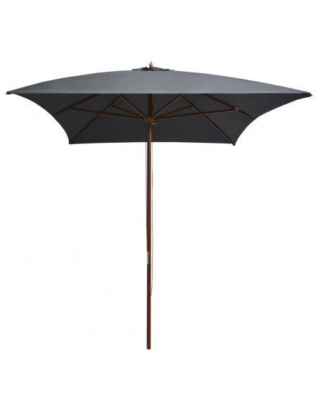 Ombrellone da Esterni con Palo in Legno 200x300 cm Antracite