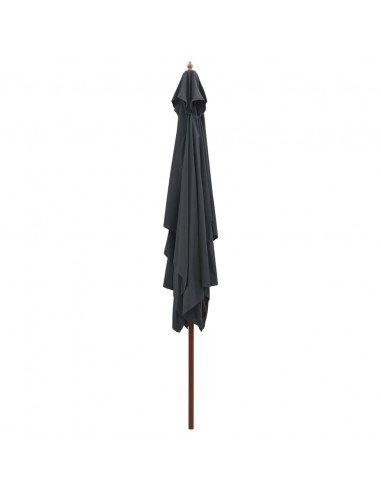 Ombrellone da Esterni con Palo in Legno 200x300 cm Antracite