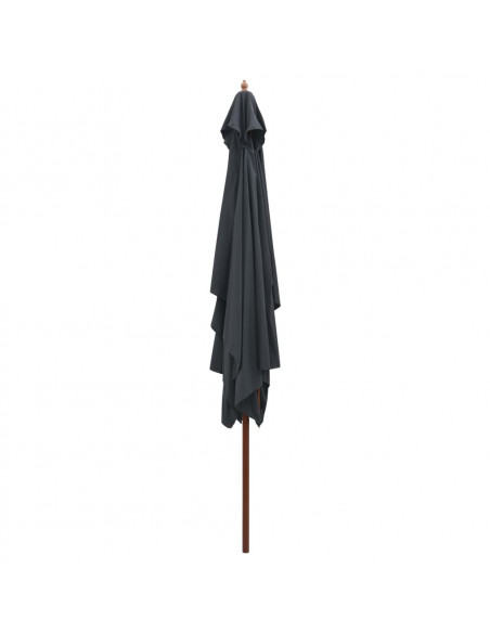 Ombrellone da Esterni con Palo in Legno 200x300 cm Antracite