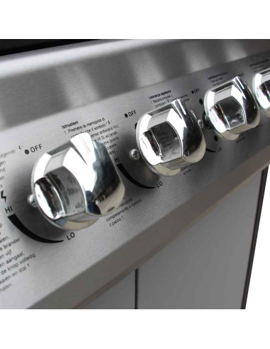 Barbecue e Griglia a Gas 6+1 Fornelli Nero e Argento