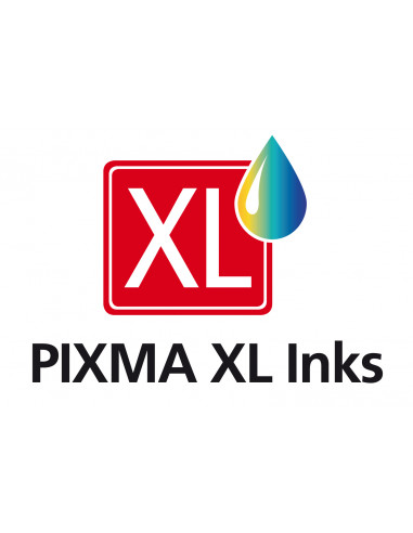 Canon 0318C010 cartuccia d'inchiostro 2 pz Originale Resa elevata (XL) Nero