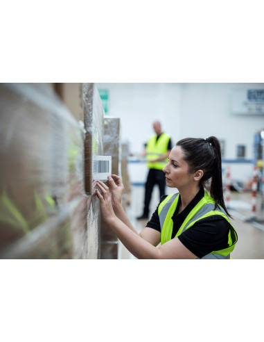 Brother BDE-1J000102-102 etichetta per stampante Bianco Etichetta per stampante autoadesiva