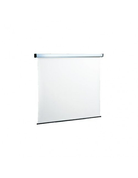SCHERMO A MURO PROF.NEW SPRING