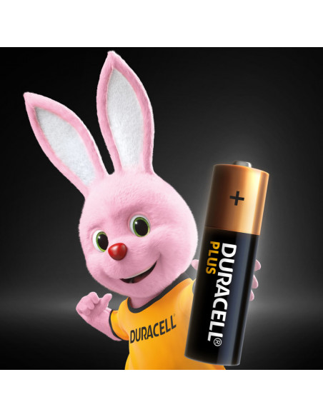 Duracell Plus 100 AA B8 x12