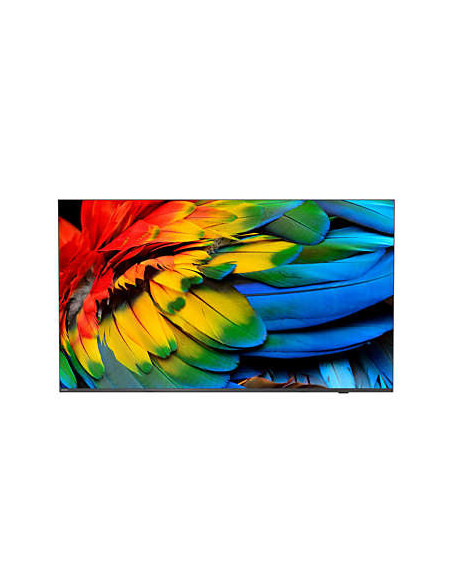 Philips 58HFL6214U/12 TV 147,3 cm (58") 4K Ultra HD Wi-Fi Antracite 400 cd/m²