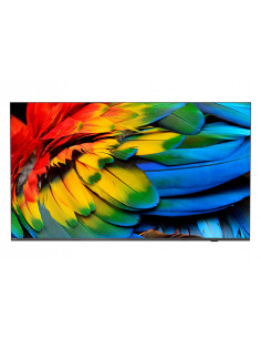 Philips 50HFL6214U 127 cm (50") 4K Ultra HD Smart TV Wi-Fi Antracite 400 cd/m² Display arrotolabile