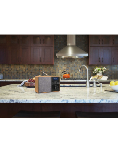 Philips TAR5505/10 radio Portatile Digitale Nero, Grigio, Legno