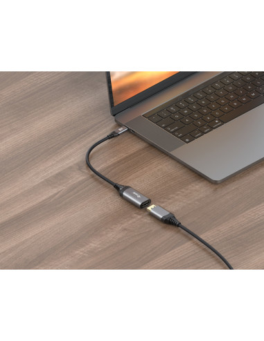 Equip 133493 Adattatore da USB-C a DisplayPort 1.4, 8K/30Hz