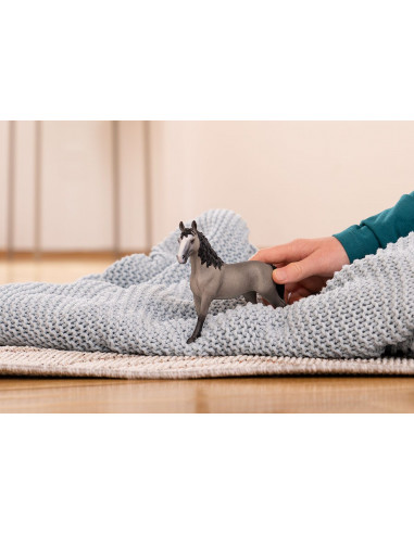 schleich HORSE CLUB 13955 action figure giocattolo