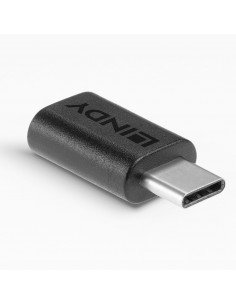 Lindy 41893 adattatore per inversione del genere dei cavi USB 3.2 Type C Nero 2