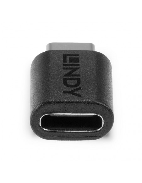 Lindy 41893 adattatore per inversione del genere dei cavi USB 3.2 Type C Nero