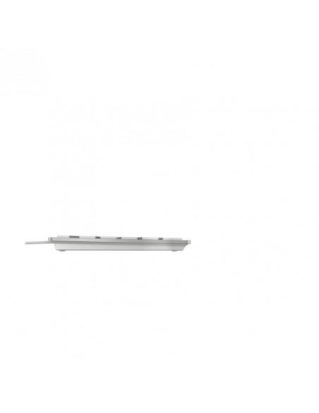 CHERRY KC 6000C FOR MAC tastiera Universale USB QWERTY Inglese Argento