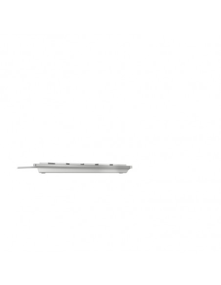 CHERRY KC 6000C FOR MAC tastiera Universale USB QWERTY Inglese US Argento