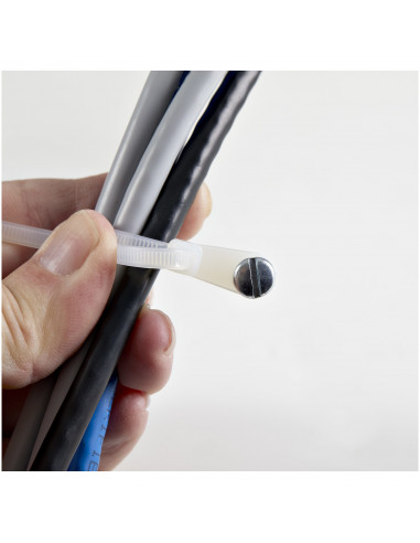 StarTech.com Fascette fermacavo da 10 cm con foro di montaggio - 2 mm di larghezza, 24 mm di diametro del fascio, 8 kg di resist