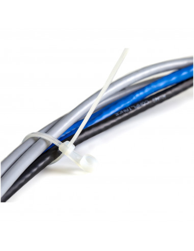 StarTech.com Fascette fermacavo da 10 cm con foro di montaggio - 2 mm di larghezza, 24 mm di diametro del fascio, 8 kg di resist