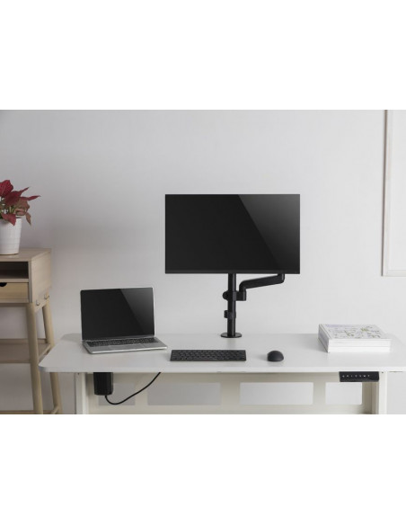 Equip Staffa per il montaggio di monitor da scrivania da 17"-32”