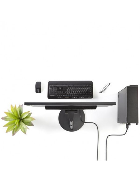 StarTech.com Cavo DisplayPort a DVI di 1,8 m - M/M