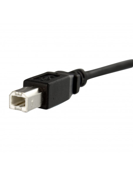 StarTech.com Cavo pannello USB 30 cm B a B - F/M