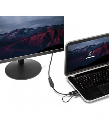 StarTech.com Adattatore / Convertitore HDMI a DP alimentato via USB - Ultra HD 4K