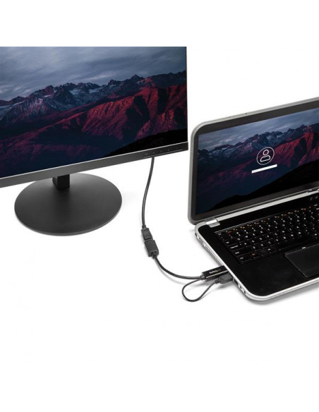 StarTech.com Adattatore / Convertitore HDMI a DP alimentato via USB - Ultra HD 4K