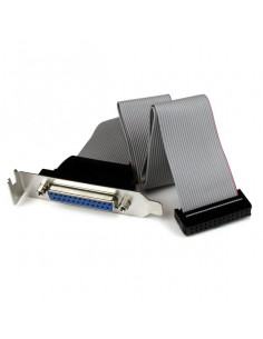StarTech.com Adattatore cavo collettore porta parallela 40 cm basso profilo con staffa – DB25 (F) a IDC26