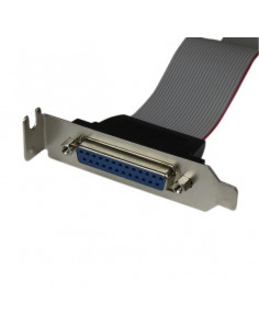 StarTech.com Adattatore cavo collettore porta parallela 40 cm basso profilo con staffa – DB25 (F) a IDC26 2
