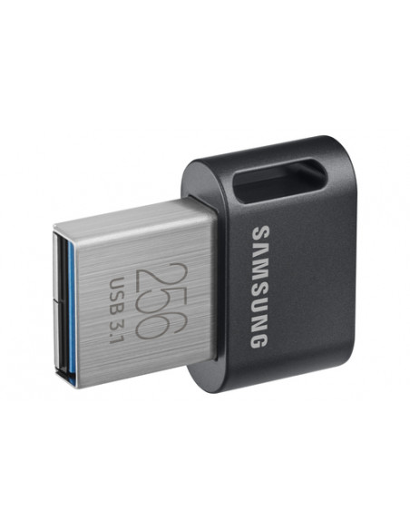 Samsung MUF-256AB unità flash USB 256 GB USB tipo A 3.2 Gen 1 (3.1 Gen 1) Grigio, Argento