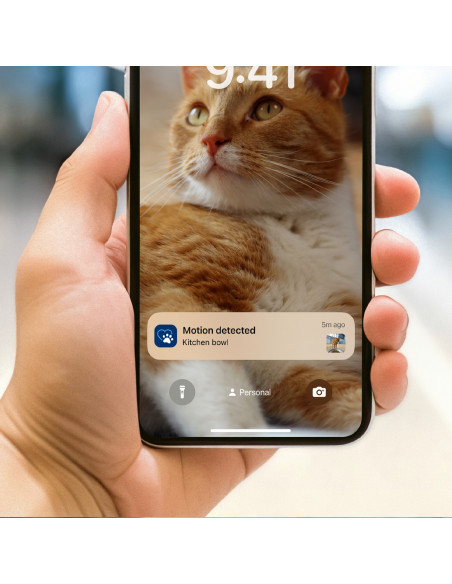 Philips 5000 series Distributore di cibo smart con telecamera Pet Series PAW5320/02